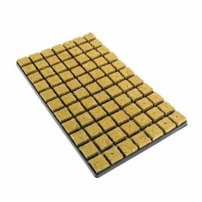 Rockwool Cubes - 77 Tray
