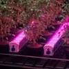 ULIM 160w Base Garden Under Canopy LED - 160w - Image 2